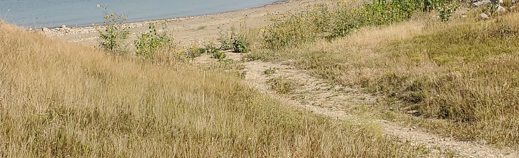 are dogs allowed at boulder reservoir