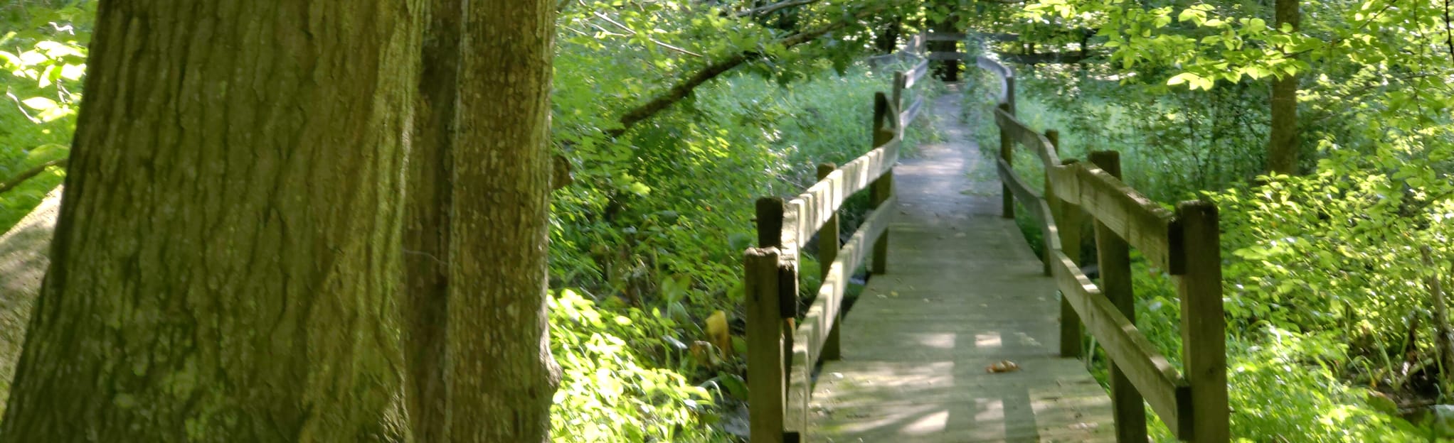 Scott's Mill County Park Trail, Michigan 43 Reviews, Map AllTrails