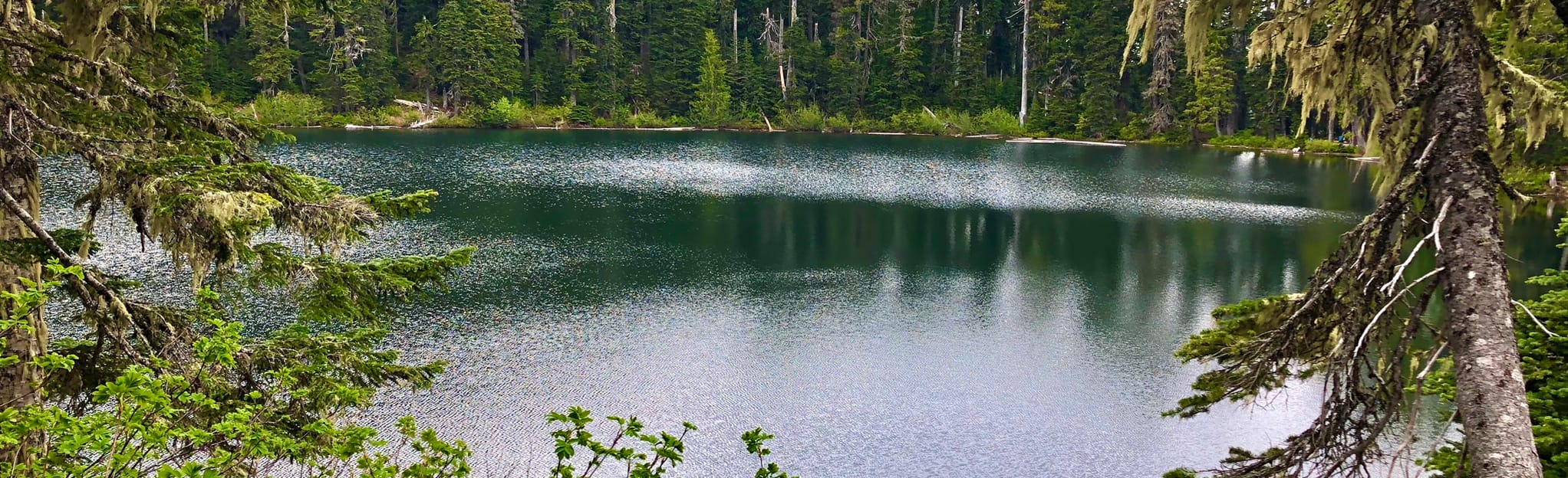 Soda Peaks Lake Trail 250 foto's Washington Wandelen AllTrails