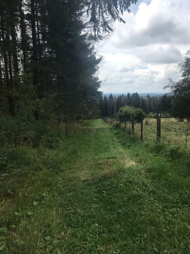 WesterwaldSteig Etappe 3: Rehe- Rennerod