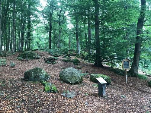 WesterwaldSteig Etappe 3: Rehe- Rennerod