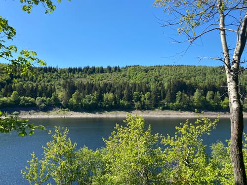 Uferweg Okertalsperre
