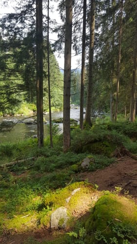 Bayrisch Kanada Rundweg Nr. 14
