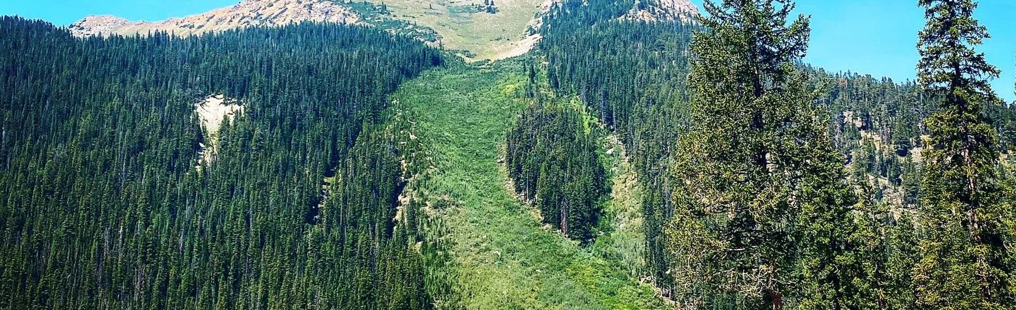 AllTrails New York Creek Trail - EyJidWNrZXQiOiJhc3NldHMuYWxsdHJhaWxzLmNvbSIsImtleSI6InVwbG9hZHMvcGhvdG8vaW1hZ2UvMjg2NDIyMzkvYjNmZTZkNTMxNzFmODcxMDRiYjg1ODU1YzExOGE5MjQuanBnIiwiZWRpdHMiOnsidG9Gb3JtYXQiOiJqcGVnIiwicmVzaXplIjp7IndpZHRoIjoyMDQ0LCJoZWlnaHQiOjYyNCwiZml0IjoiY292ZXIifSwicm90YXRlIjpudWxsLCJqcGVnIjp7InRyZWxsaXNRdWFudGlzYXRpb24iOnRydWUsIm92ZXJzaG9vdERlcmluZ2luZyI6dHJ1ZSwib3B0aW1pc2VTY2FucyI6dHJ1ZSwicXVhbnRpc2F0aW9uVGFibGUiOjN9fX0=