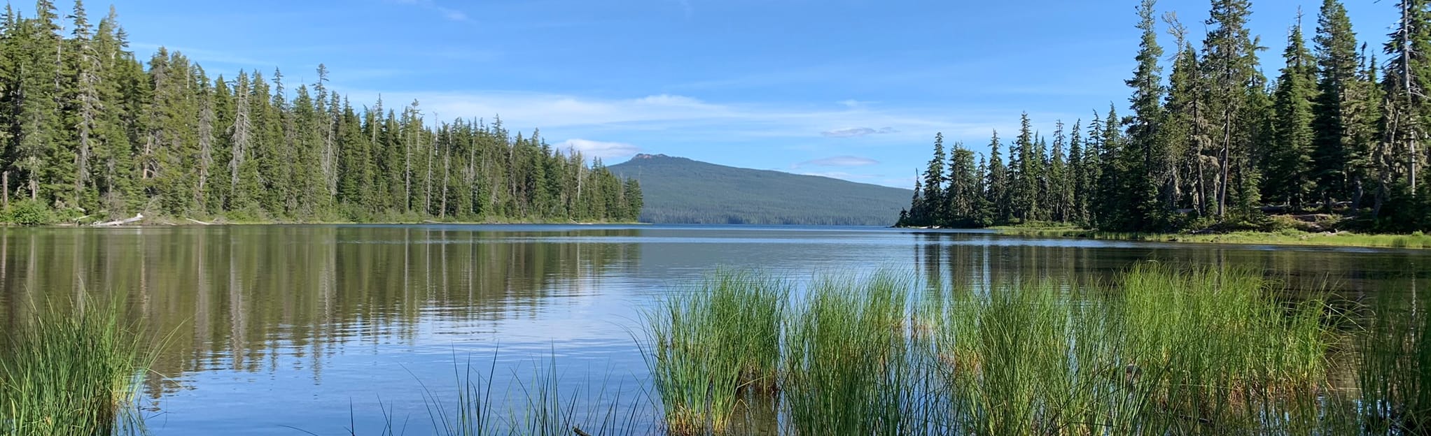 Waldo Mountain, Gosling and Gander Lakes Loop, Oregon Map, Guide