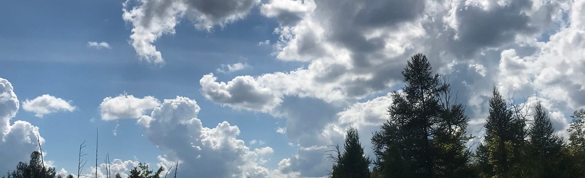 Pettibone Lake Paddle Trip 6 Reviews, Map Michigan AllTrails