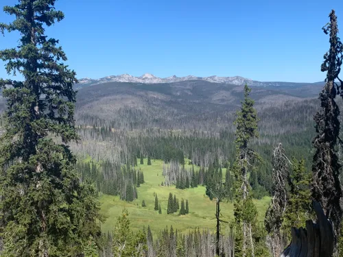 10 Best Hikes and Trails in Selway-Bitterroot Wilderness | AllTrails