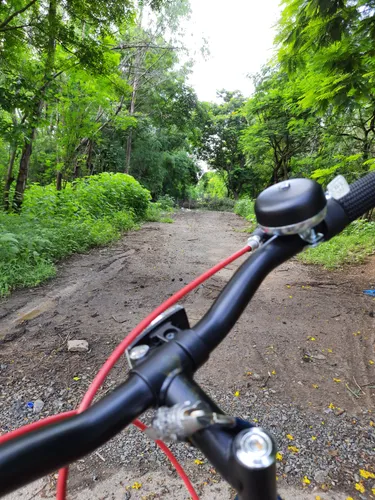 Best Road Biking Trails in Andhra Pradesh AllTrails