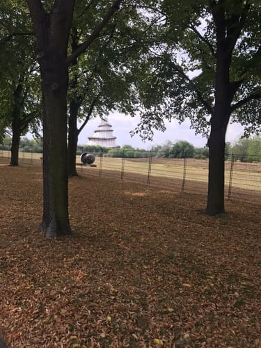 Magdeburg: Elbauenpark - Herrenkrugpark