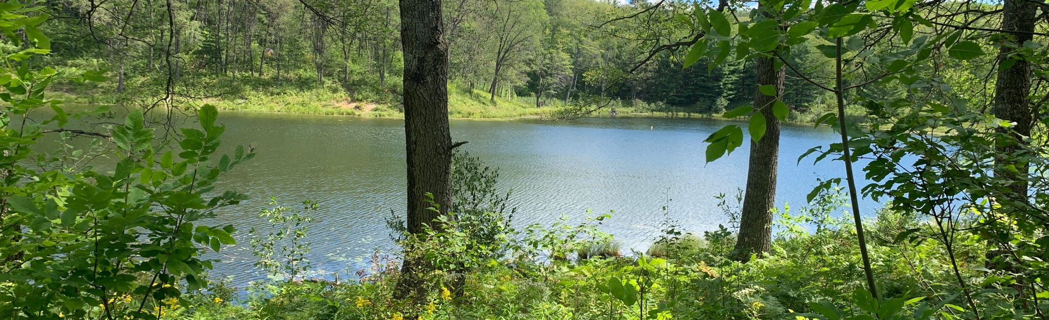 Hoist Lakes Full Loop, Michigan 35 Reviews, Map AllTrails