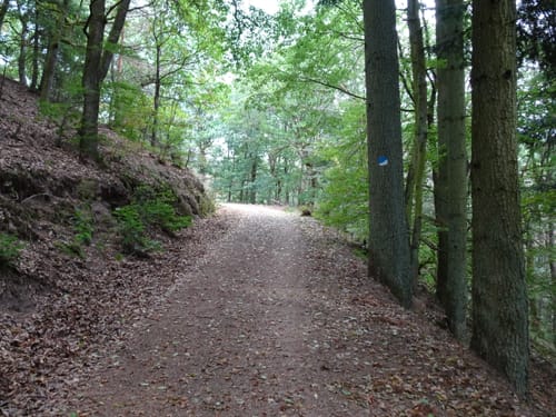 Falkensteiner Schlucht und Burg Falkenstein