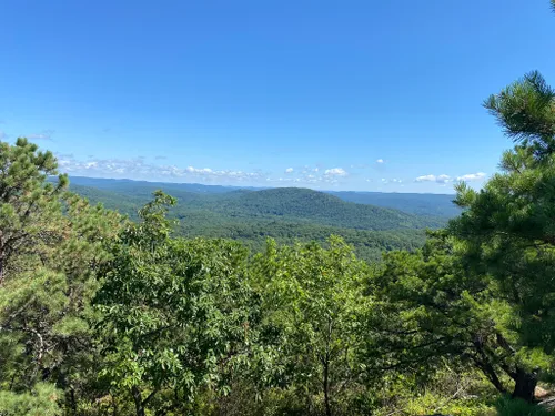 norvin green state forest trail map