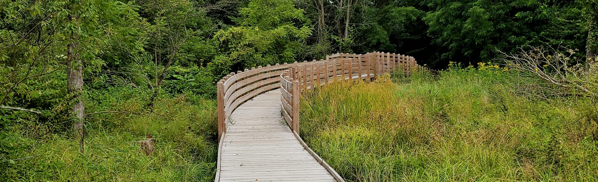 The Wilderness Center Perimeter Loop: 427 fotos - Ohio | AllTrails