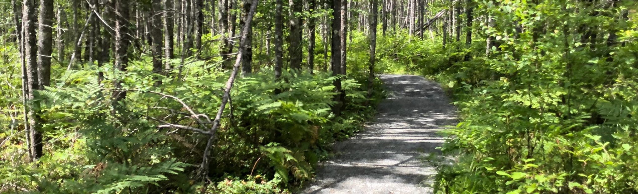 Pitcher Plant Trail Map, Guide Nova Scotia, Canada AllTrails