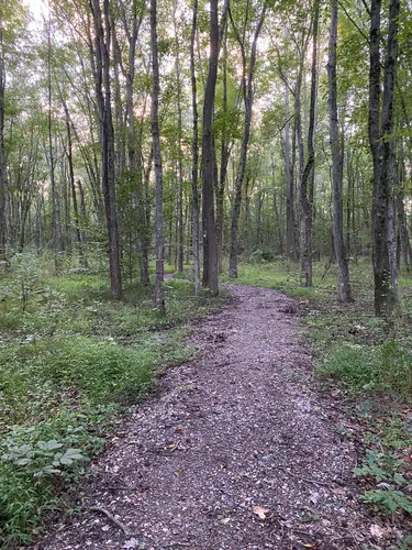 Hartford crossing mountain store bike park