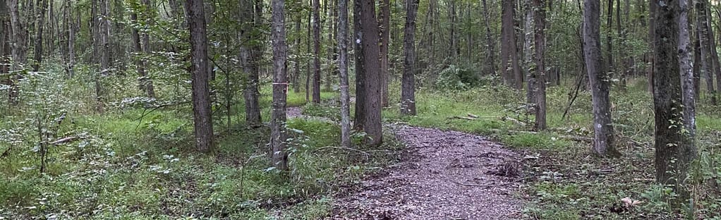 Hartford crossing cheap mountain bike park