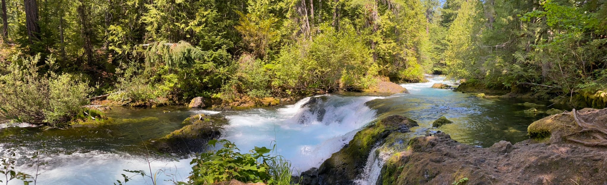 Koosah and Sahalie Falls Trail, Oregon - 1,537 Reviews, Map | AllTrails