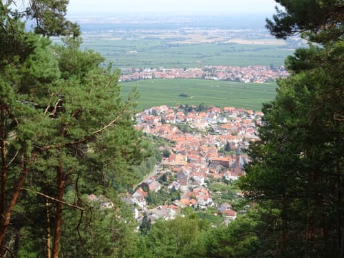 Schutzhütte Schänzelstraße - Hochberg