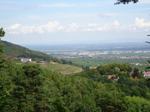 Schutzhütte Schänzelstraße - Hochberg