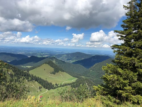 Bodenschneid