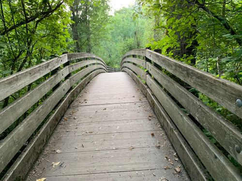 Best Hikes and Trails in Kelsey Creek Park | AllTrails