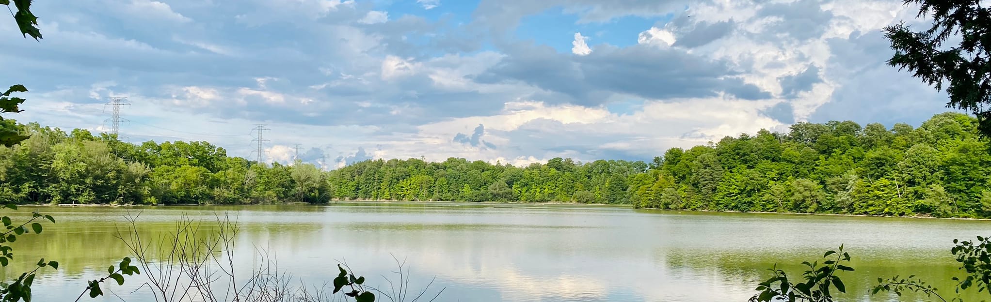 Dalewood Trail 38 Reviews, Map Ontario, Canada AllTrails