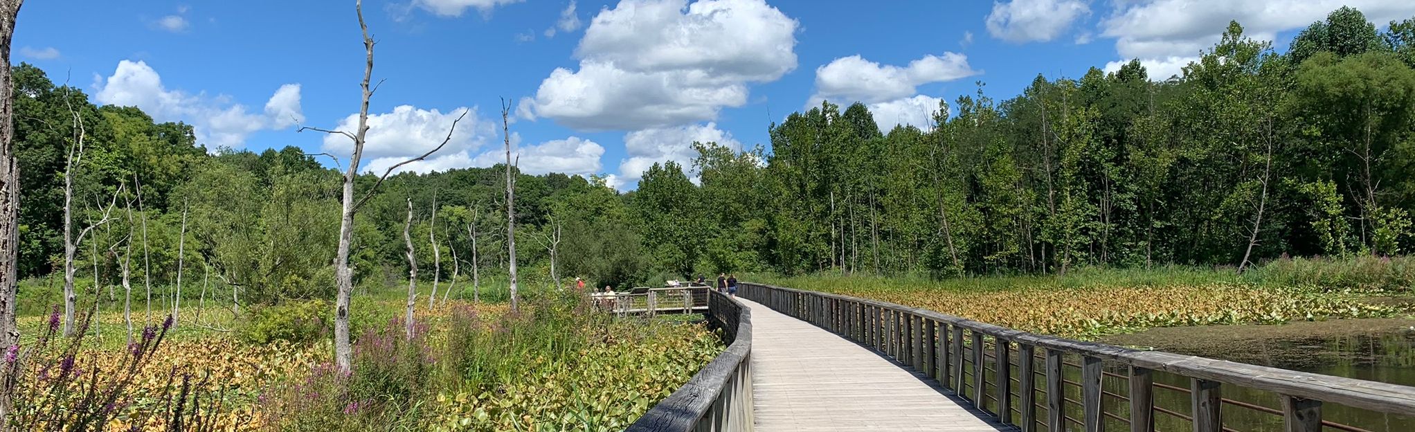 Beaver Marsh: 563 Reviews, Map - Ohio | AllTrails