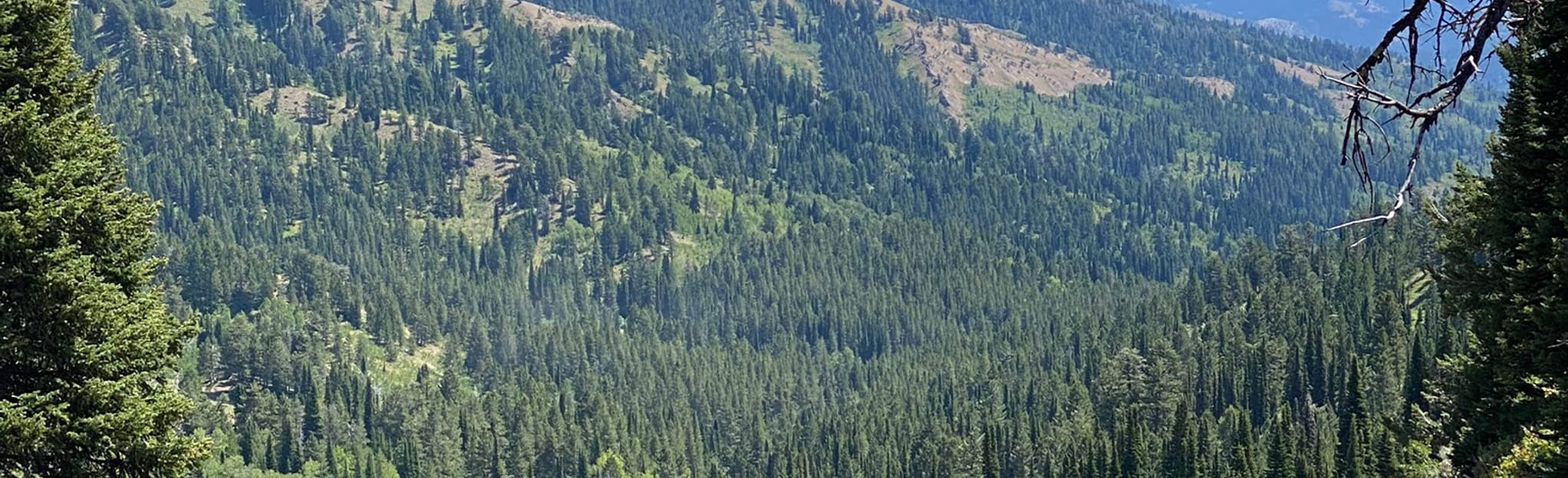 Pine Creek to Temple Peak Trail 12 Reviews, Map Idaho AllTrails