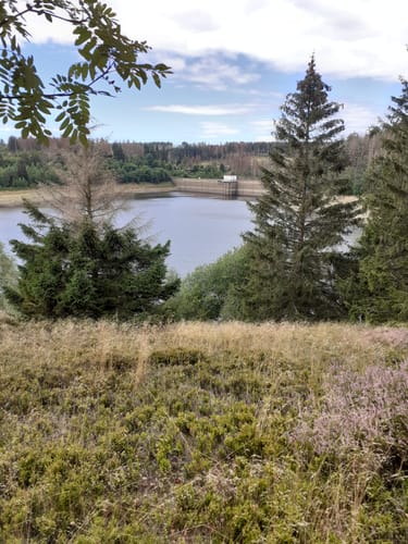 Ilsenburg - Rabenklippe - Plesenburg