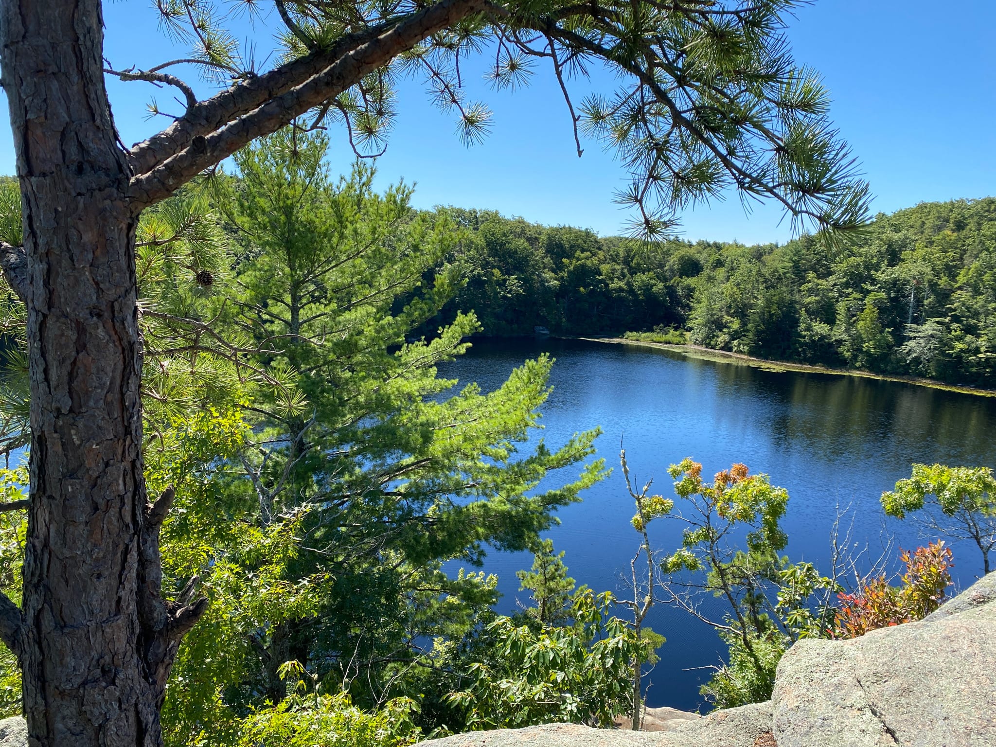 Photos of Long Pond Woods Trail Rhode Island AllTrails
