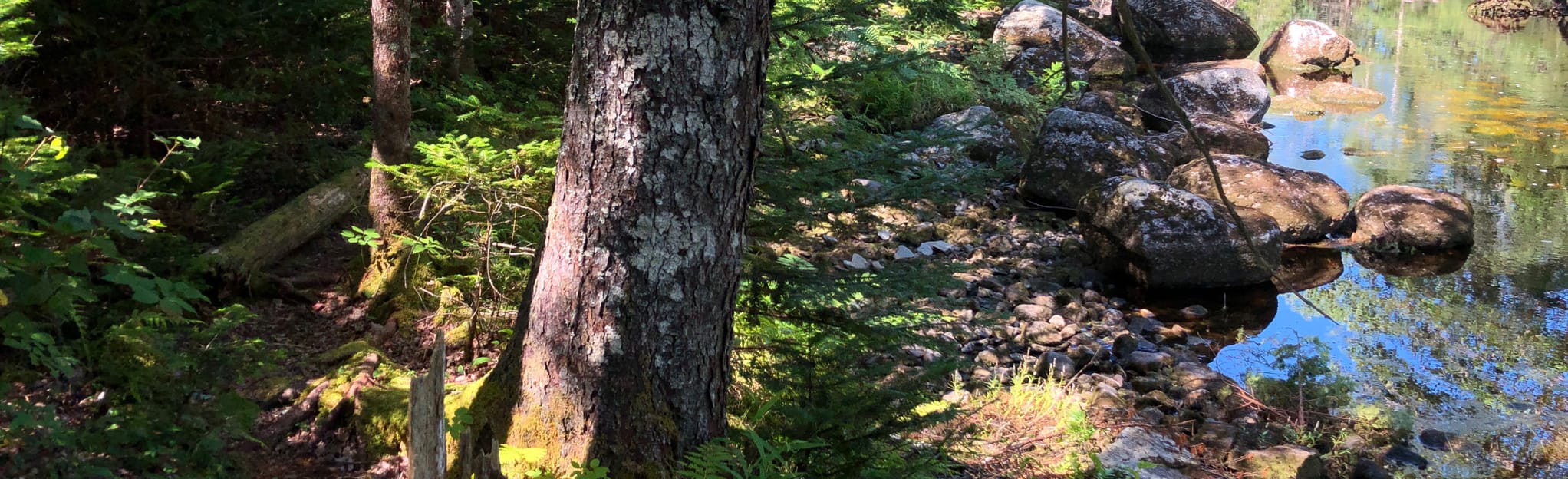 Trout Point Lodge Red Trail 3 Reviews, Map Nova Scotia, Canada