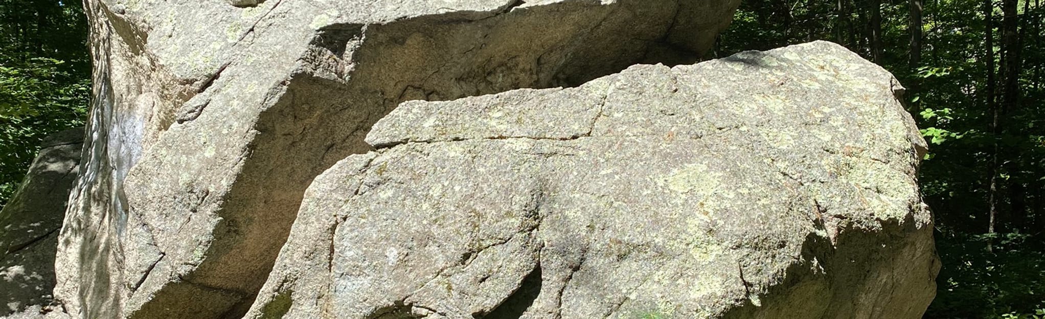 Brockton Audubon Preserve Loop, Massachusetts 84 Reviews, Map AllTrails