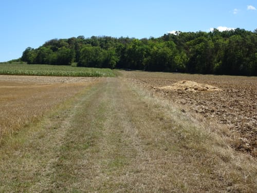 Romantische Straße Etappe 6: Weikersheim - Creglingen