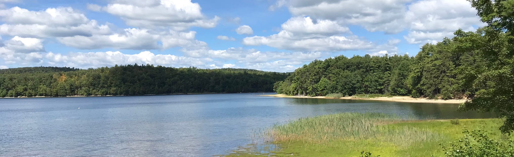 Rabbit Run Rail Bed, Massachusetts 234 Reviews, Map AllTrails