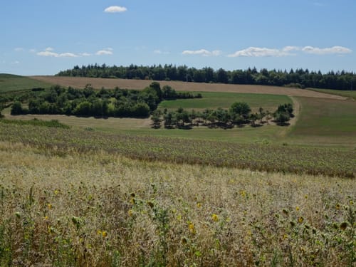 Rund um Weikersheim