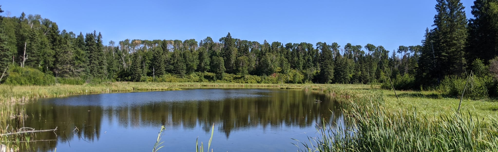 Puddle Lake, Ski Hill, Sergeant Lake, and Balka Major Loop Map, Guide