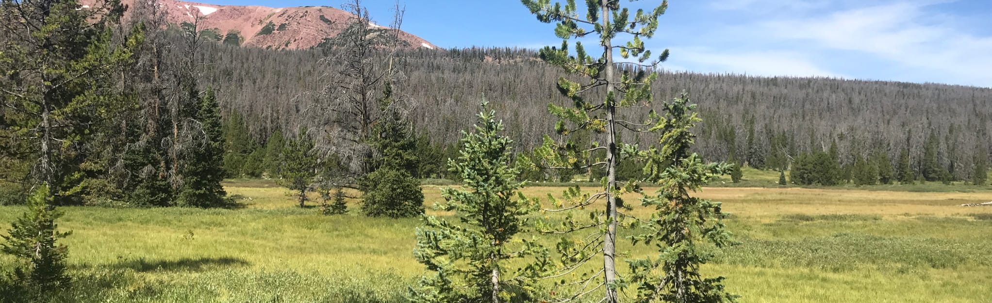 Lower Red Castle Lake via East Fork Smiths Fork 628 Reviews, Map