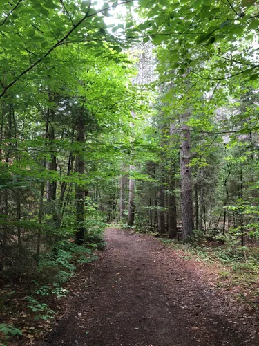 Best Hikes and Trails in Adirondack | AllTrails