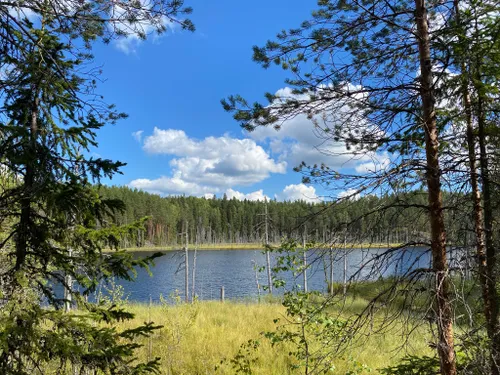 Best Hikes and Trails in Isojärvi National Park | AllTrails