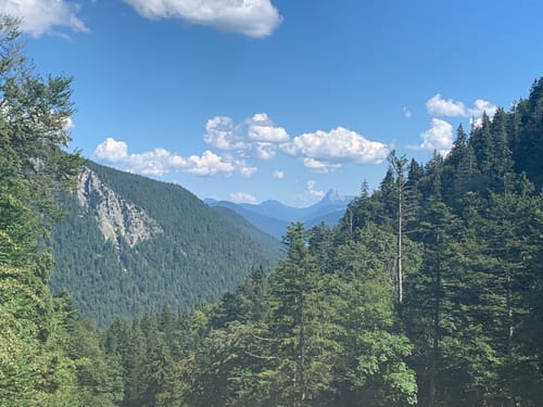 Maximiliansweg Etappe 12: Herzogstandhaus - Tutzinger Hütte