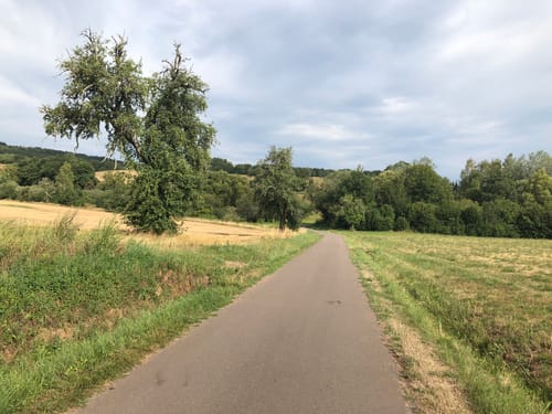 Wendelinus Runde