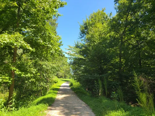 York river state discount park mountain biking