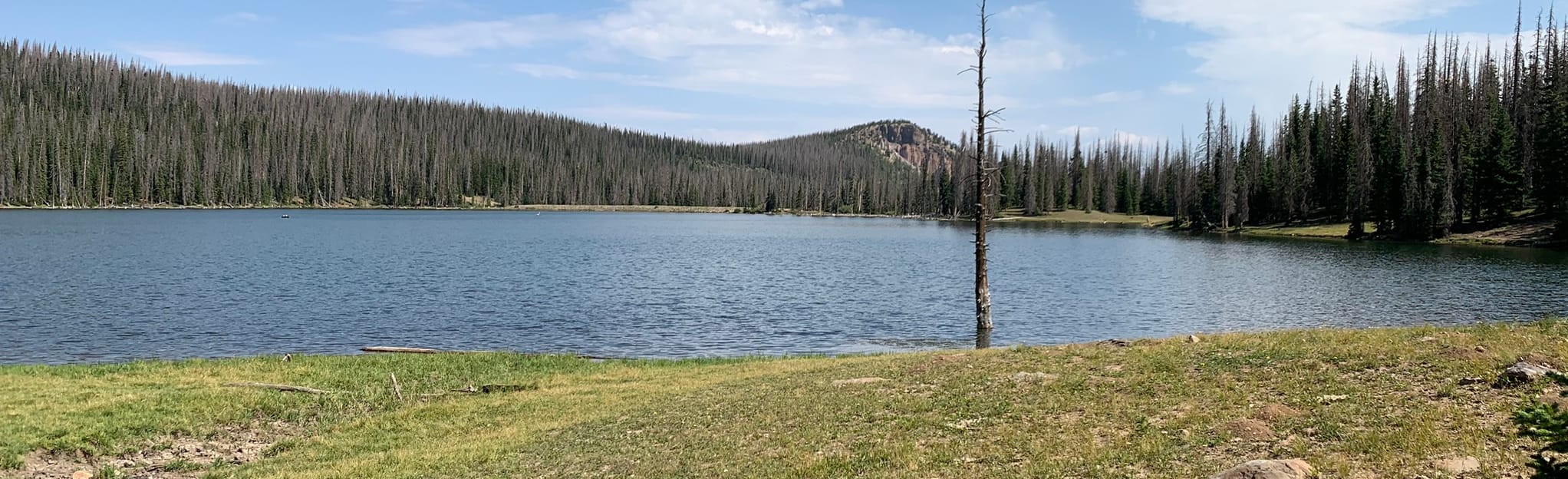 Poage Lake Trail: 7 Reviews, Map - Colorado | AllTrails