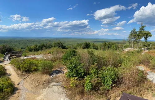 Maine : les 10 meilleures randonnées pour l'observation d'oiseaux