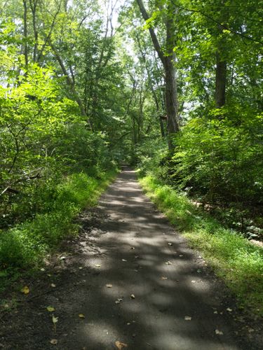 2023 Best Forest Trails in Morris County Park Commission | AllTrails