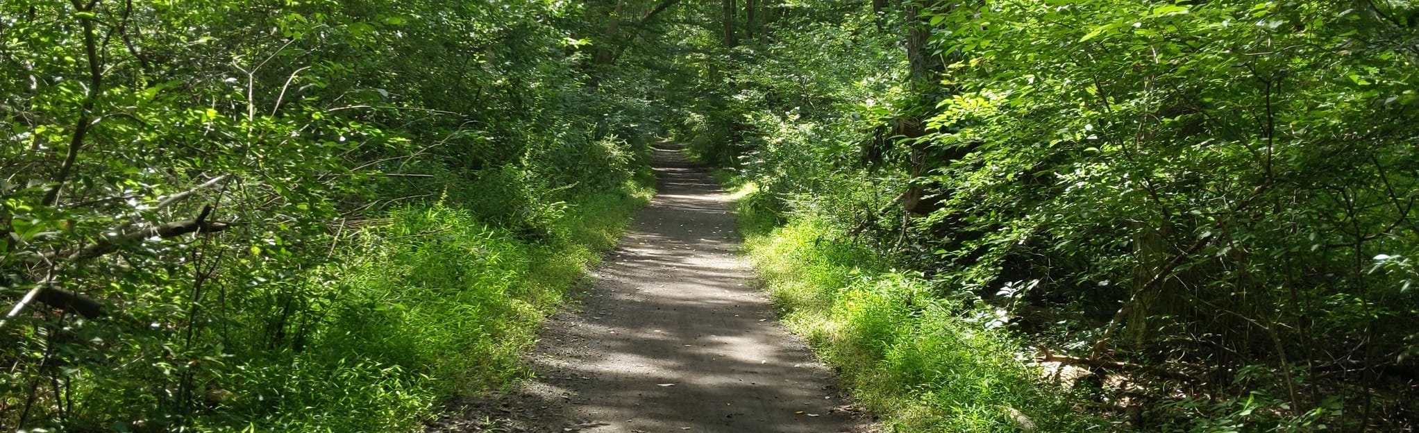 Patriots Path Heistein Park to Black River Recreation, New Jersey 28