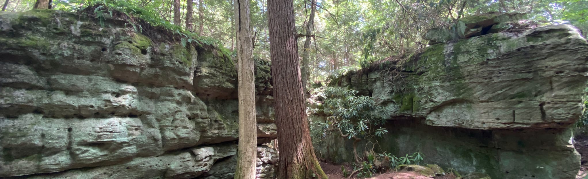 Bilger’s Rocks 82 Reviews, Map Pennsylvania AllTrails