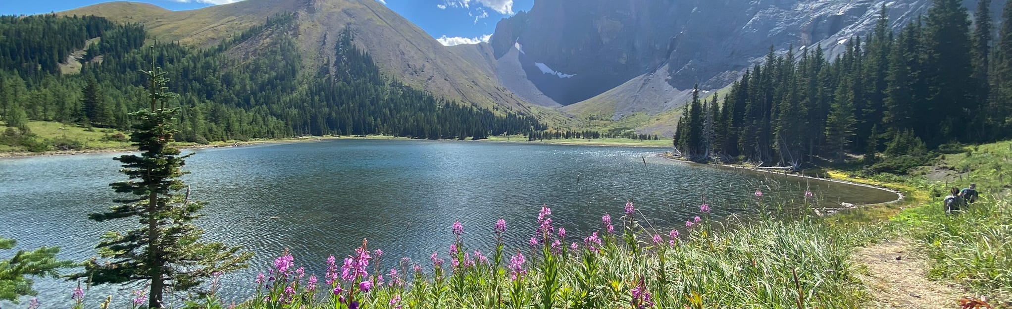 Elbow Lake Trail Big Elbow 1 643 Zdjęcia Alberta, Canada AllTrails