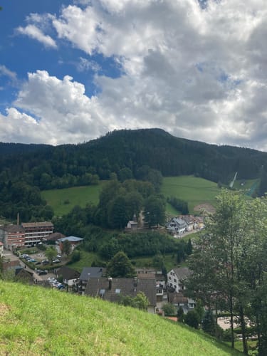 Premiumspazierwanderweg: Panoramawegle