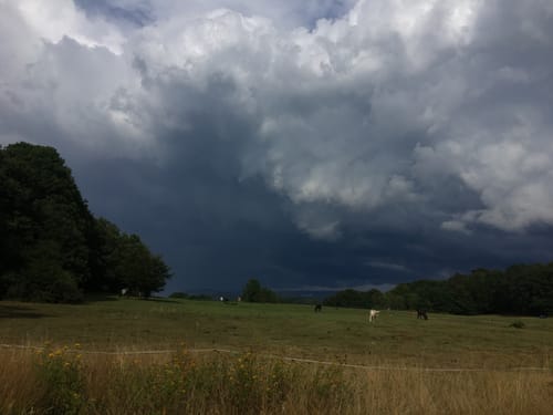 Rothaarsteig Westerwaldvariante Etappe 1: Dillenburg - Fuchskaute